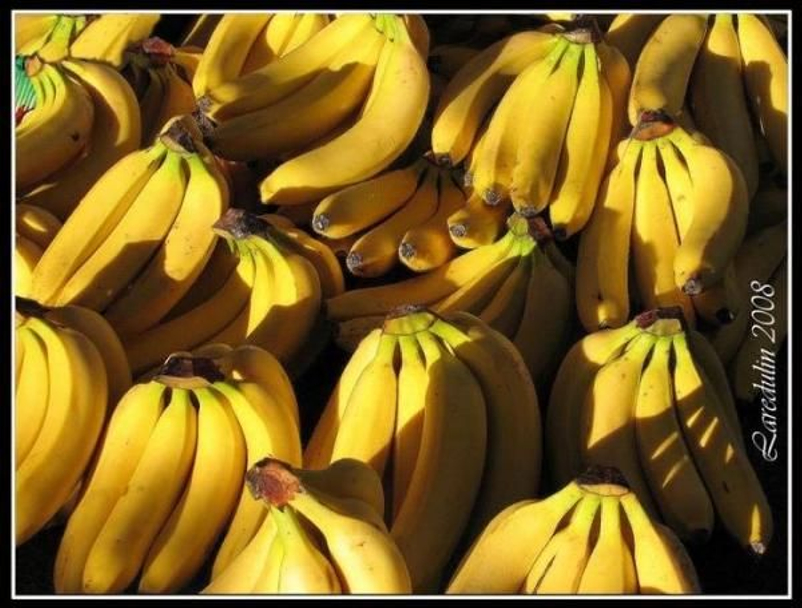 Los plátanos canarios se encarecen en más de un 3%.