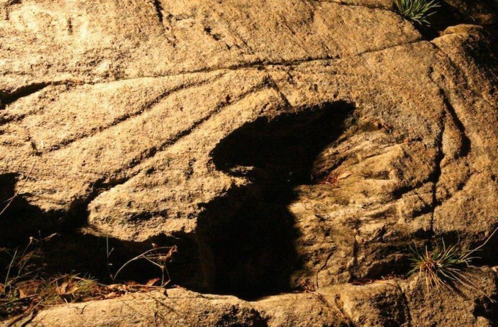 Habrá una visita diaria al castro de A Cabeciña  y un itinerario nocturno por los petroglifos en fin de semana.