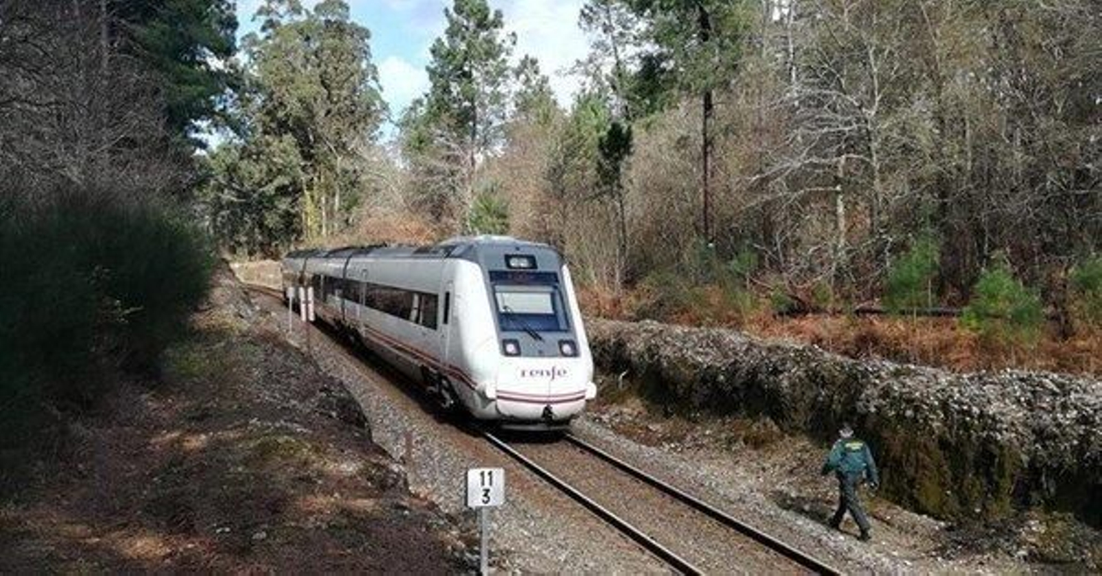 El tren detenido tras el suceso