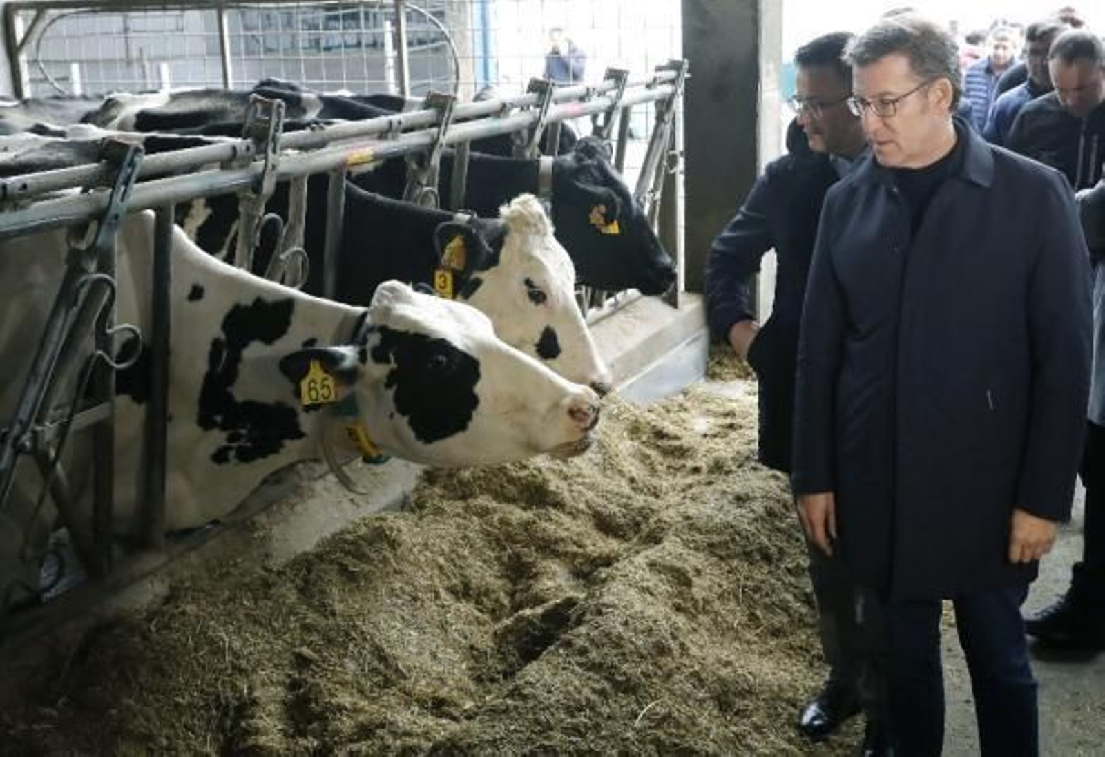 Feijóo durante una visita esta mañana en Mazaricos.