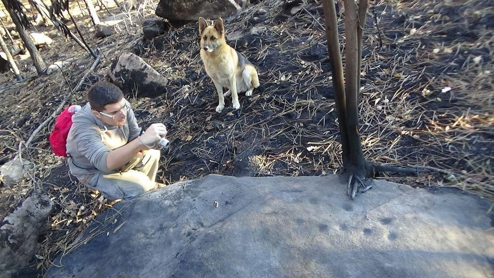 El nuevo e interesante Petroglifo hallado en 'Chan de Pou' , en la parroquia mosense de Louredo.