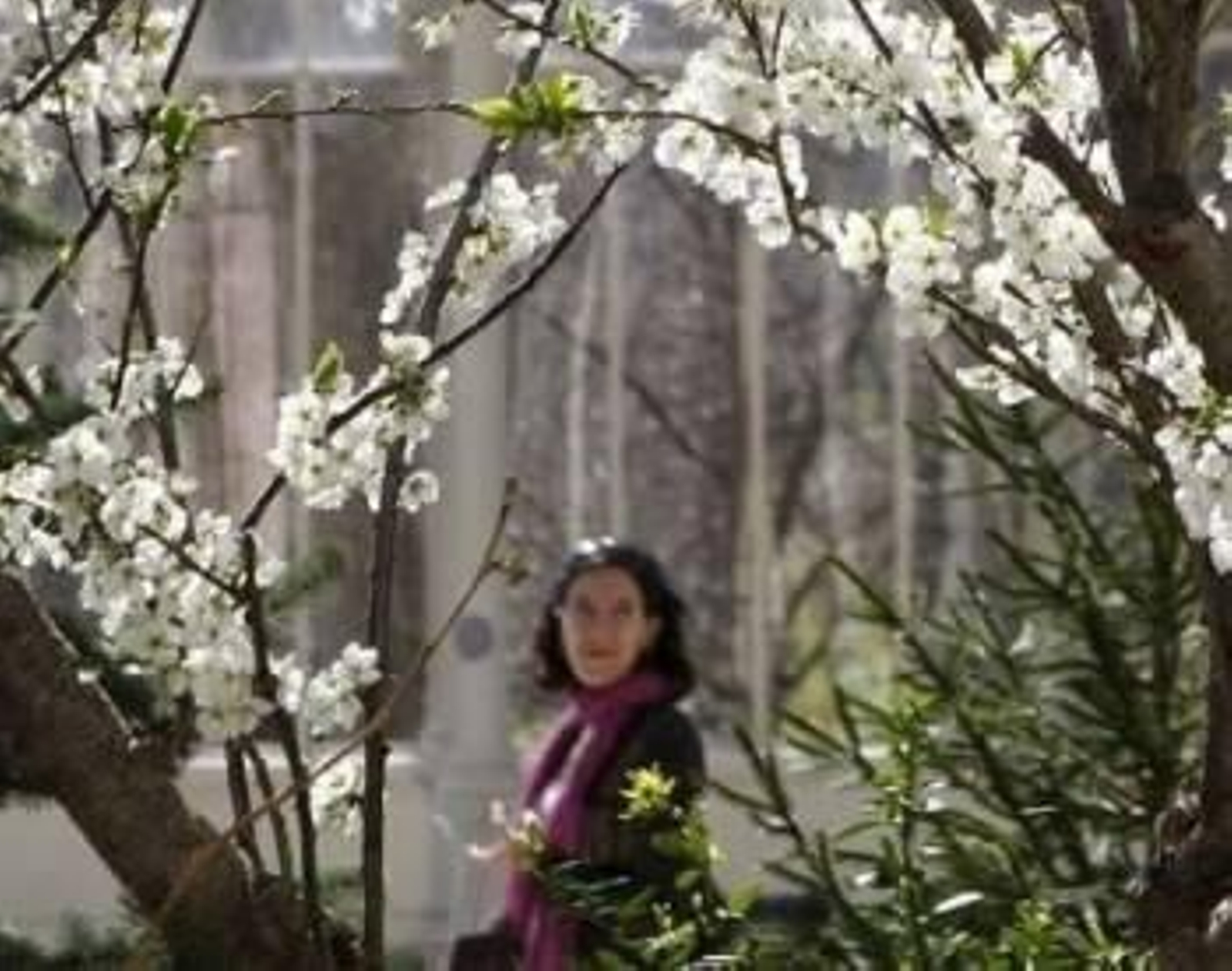 Una mujer pasea por un parque durante la primavera. (Foto: Archivo.)