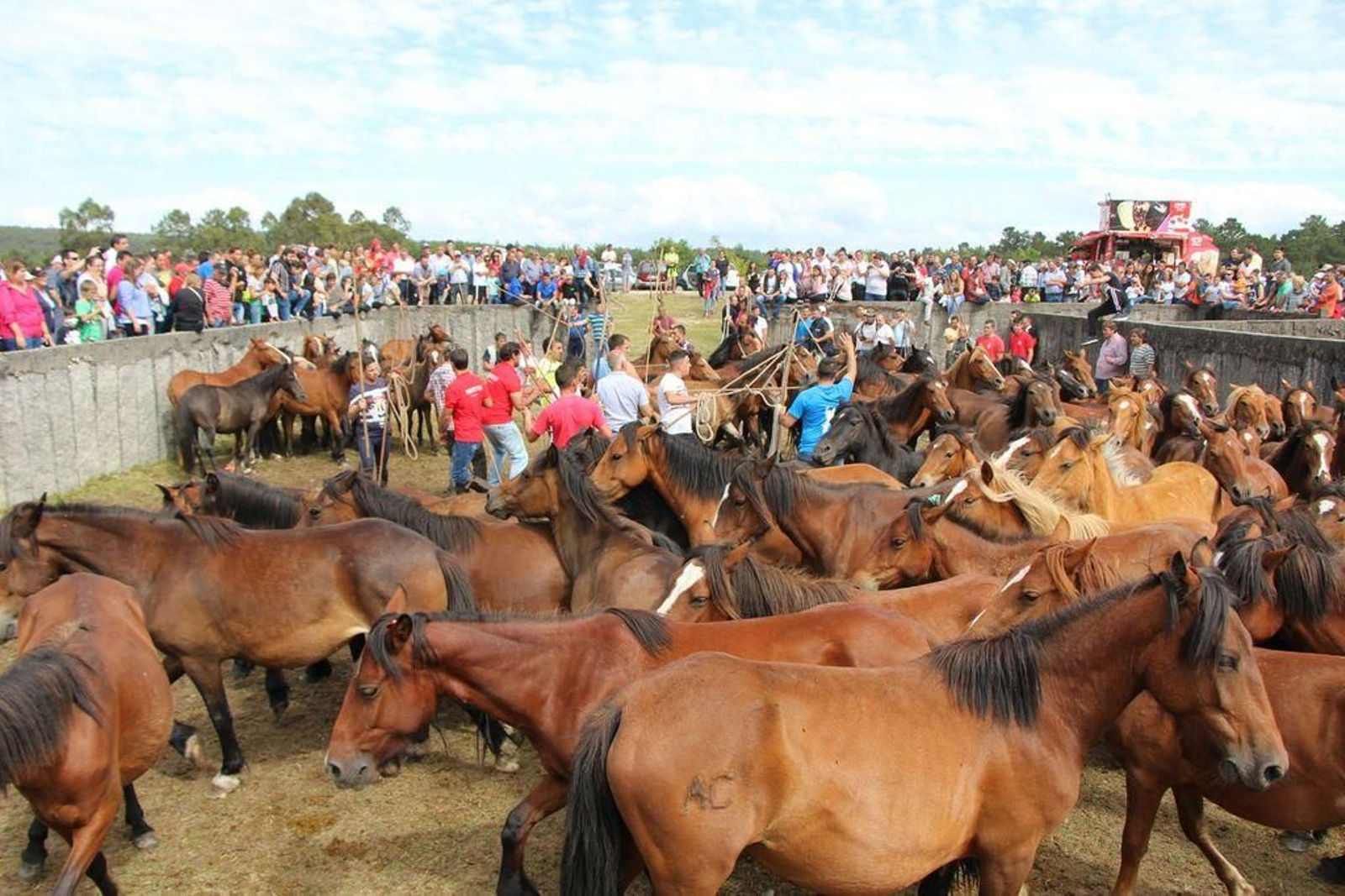 Curro celebrado en 2019 de San Cibrán, Gondomar, que suele ser el segundo de la comarca.