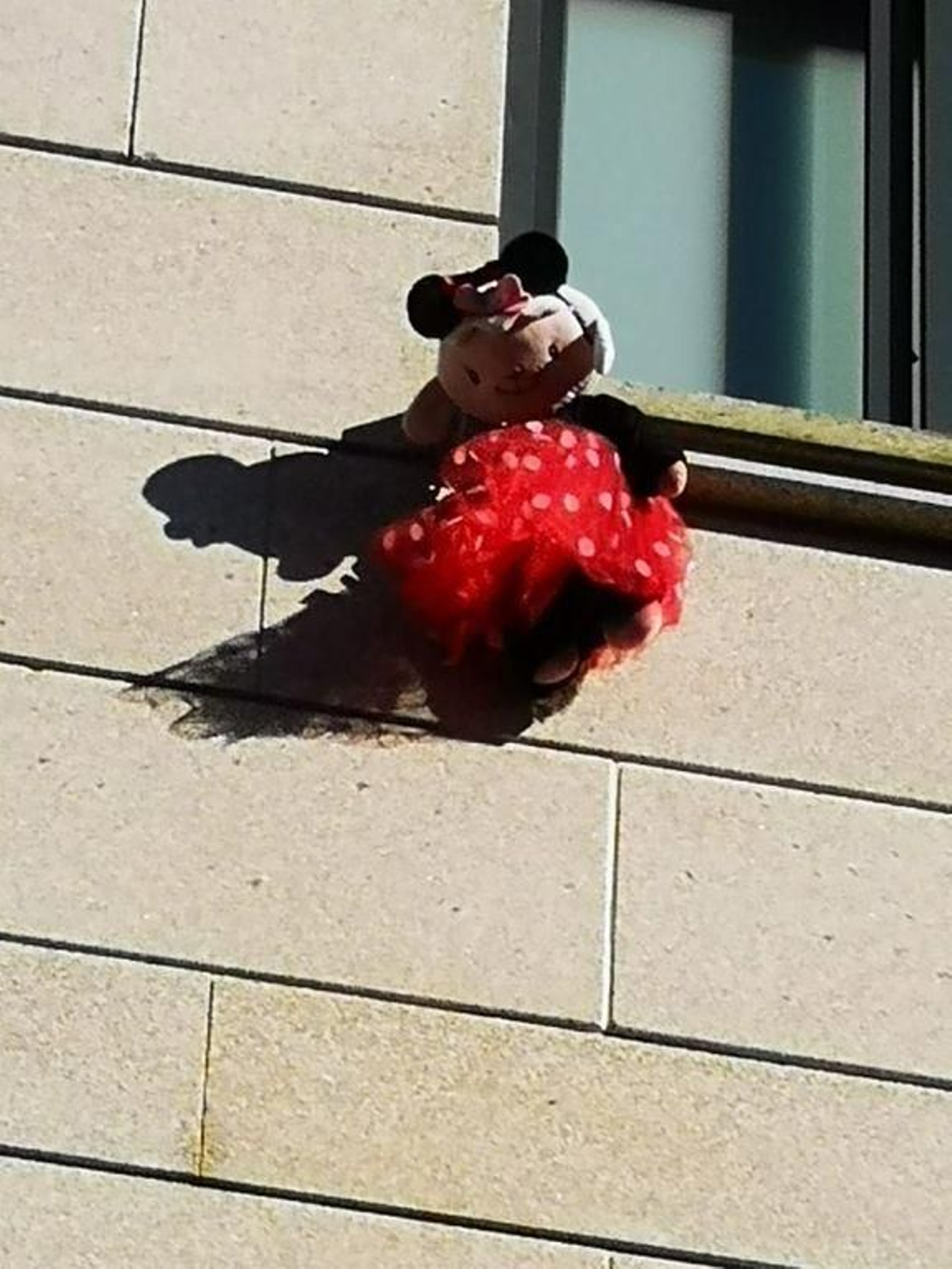 36 días de estado de alarma 17