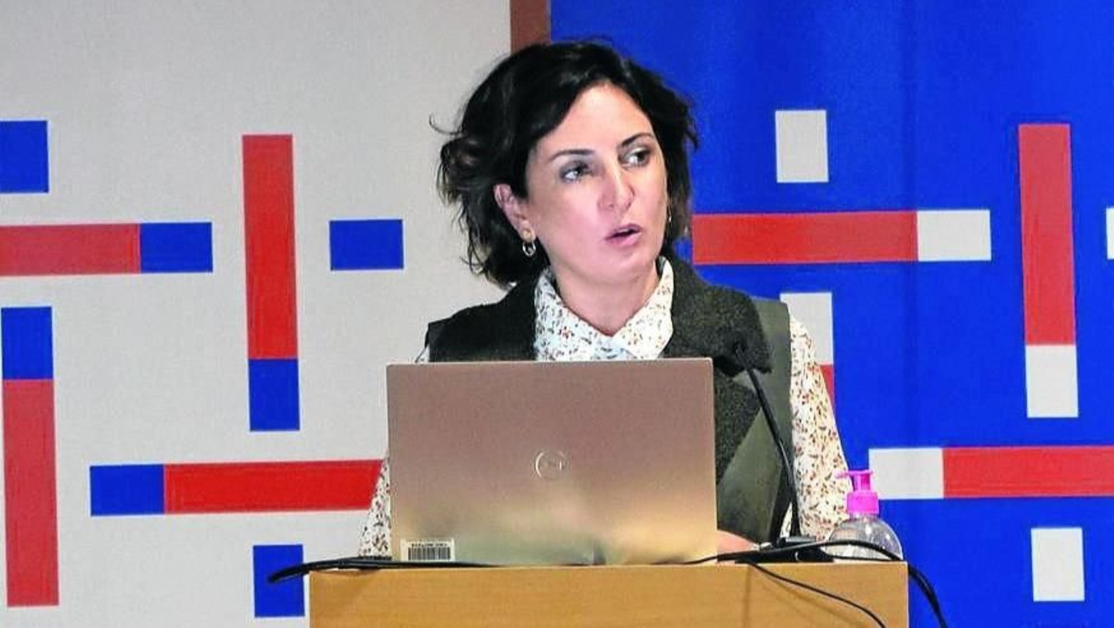 Sandra González na súa intervención nas xornadas  transfronteirizas.