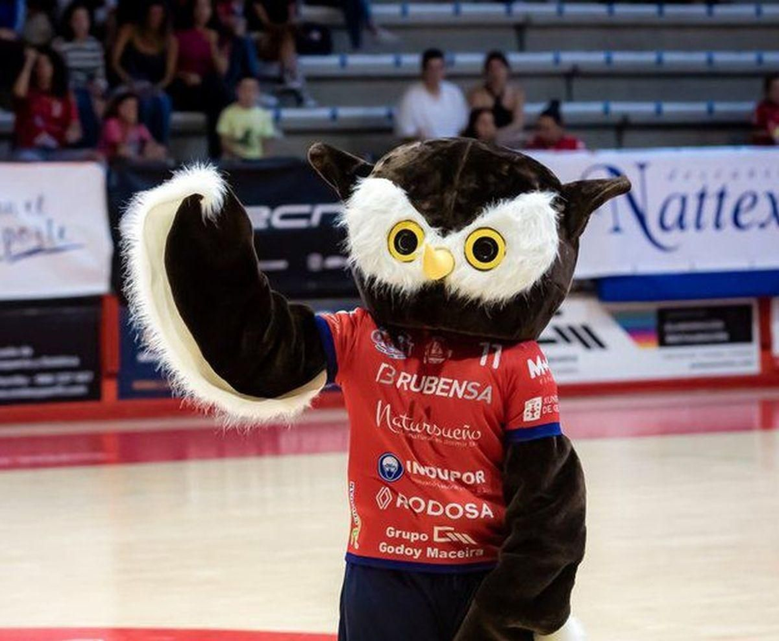 El búho salió escogido hace más de un lustro y este curso tomó forma con notable éxito.