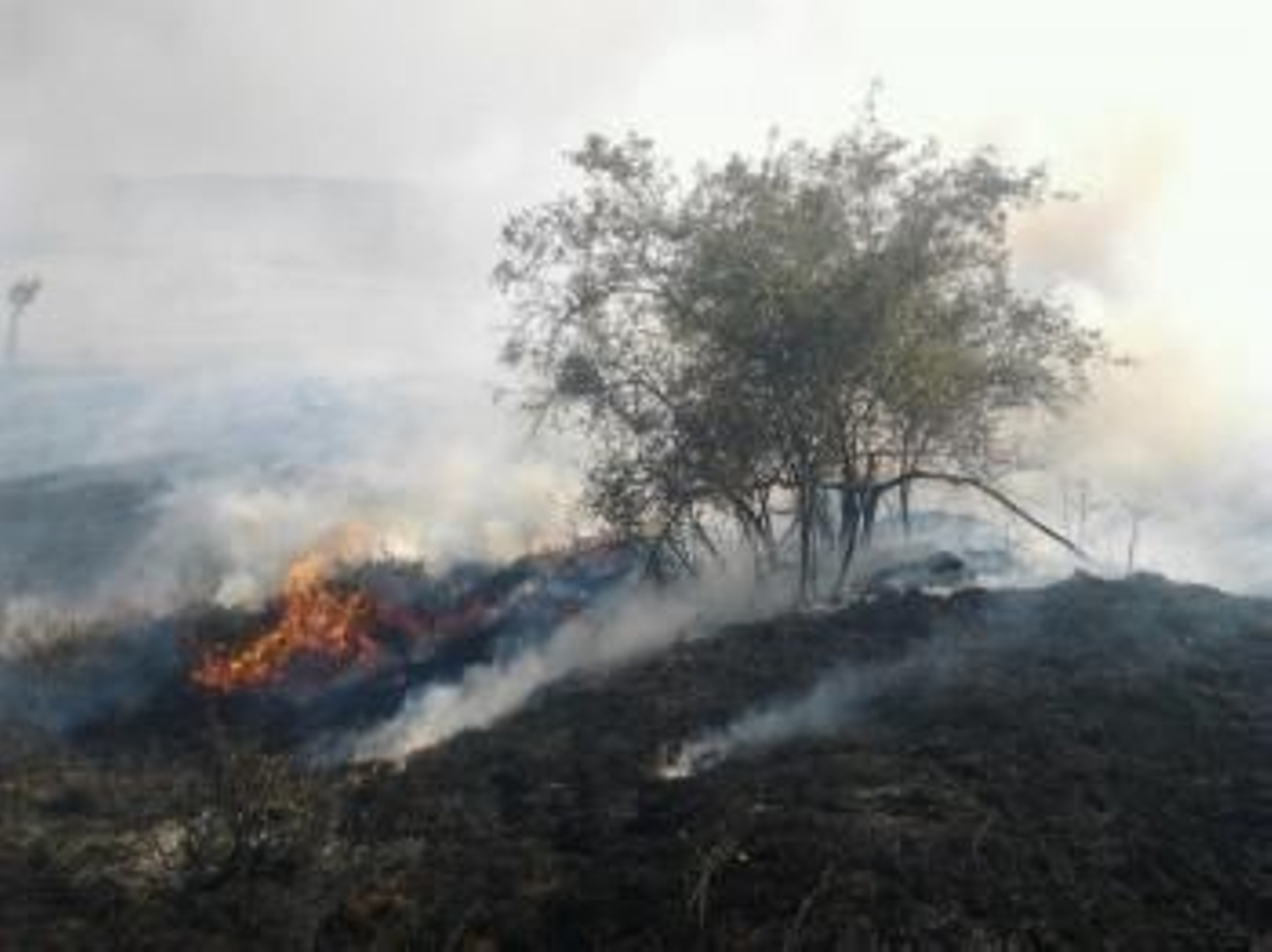 El incendio que comenzó en la tarde del miércoles en el municipio ourensano de A Gudiña quedó extinguido a las 13.19 horas