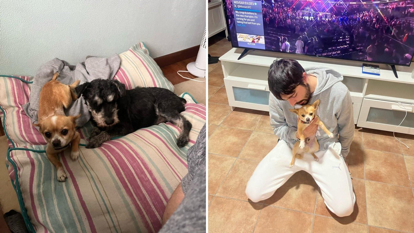 Toco hace nuevos amigos mientras se recupera de sus heridas de gravedad.