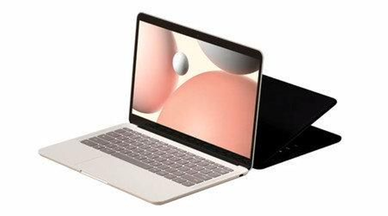 Portátil PixelBook Go