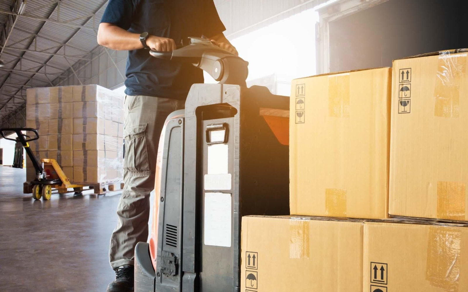 Murcia exportaciones web