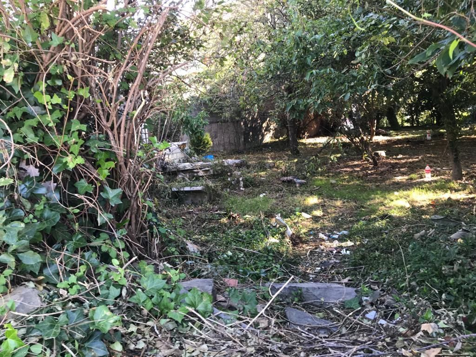 Lugar donde apareció el cadáver