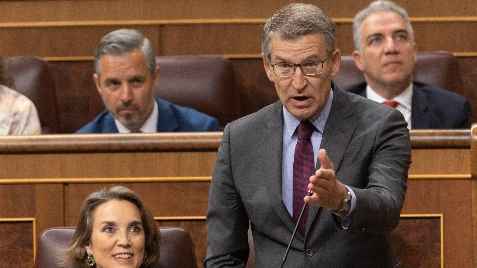 El presidente del PP, Alberto Núñez Feijóo, interviene durante una sesión de control al Gobierno, en el Congreso de los Diputados. // E.P.
