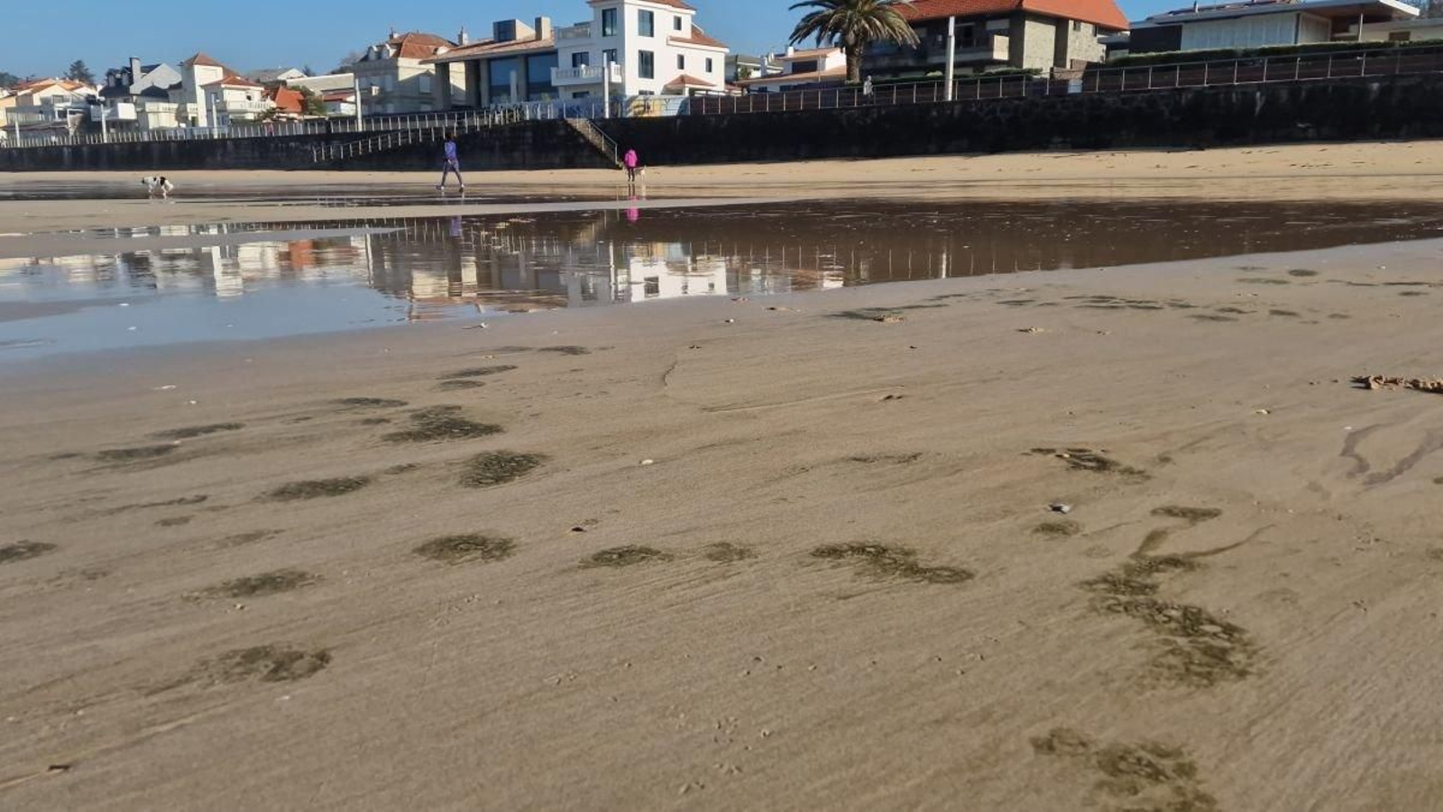 Suciedad en la playa de Panxón.