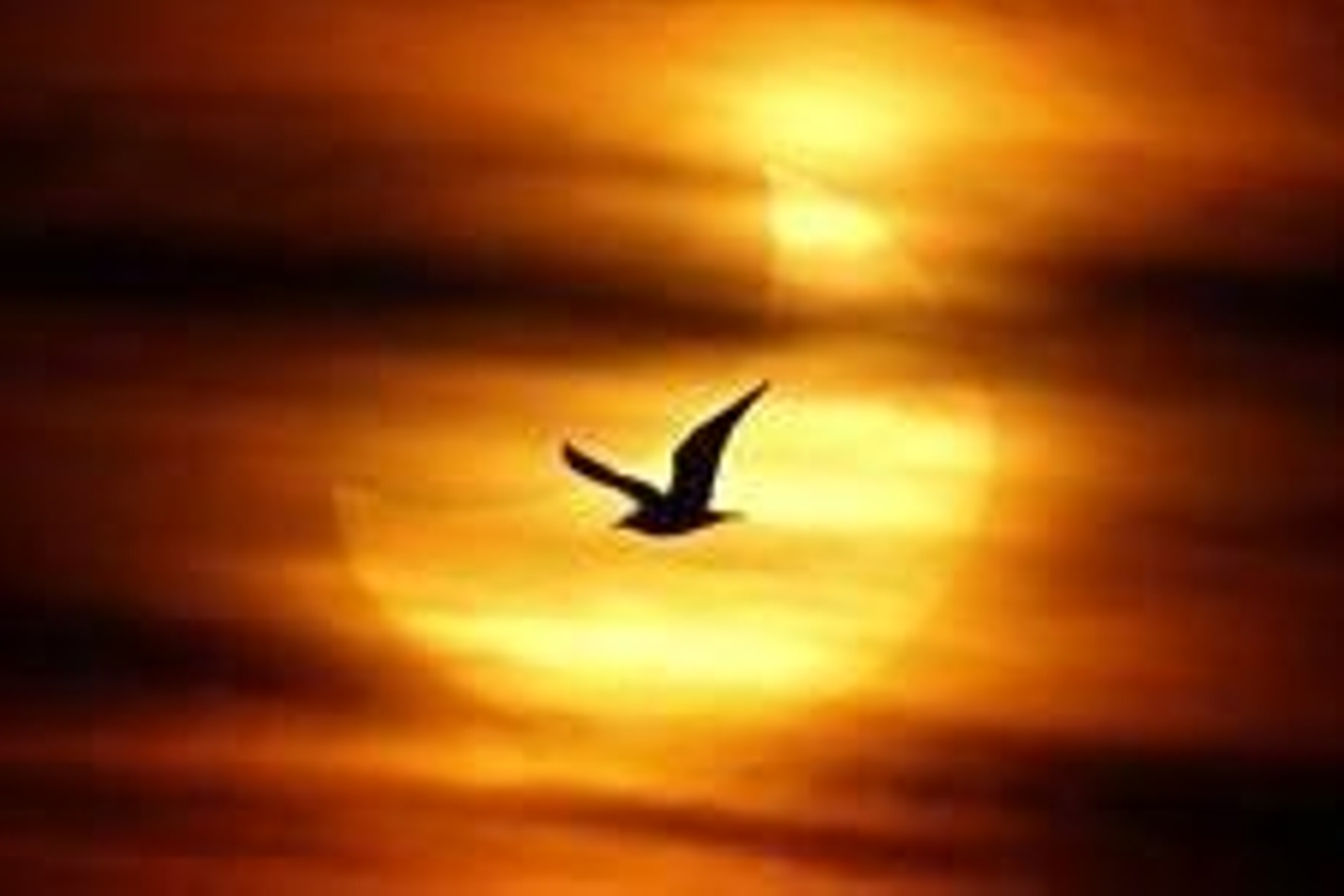 Foto: © JON NAZCA / REUTERS