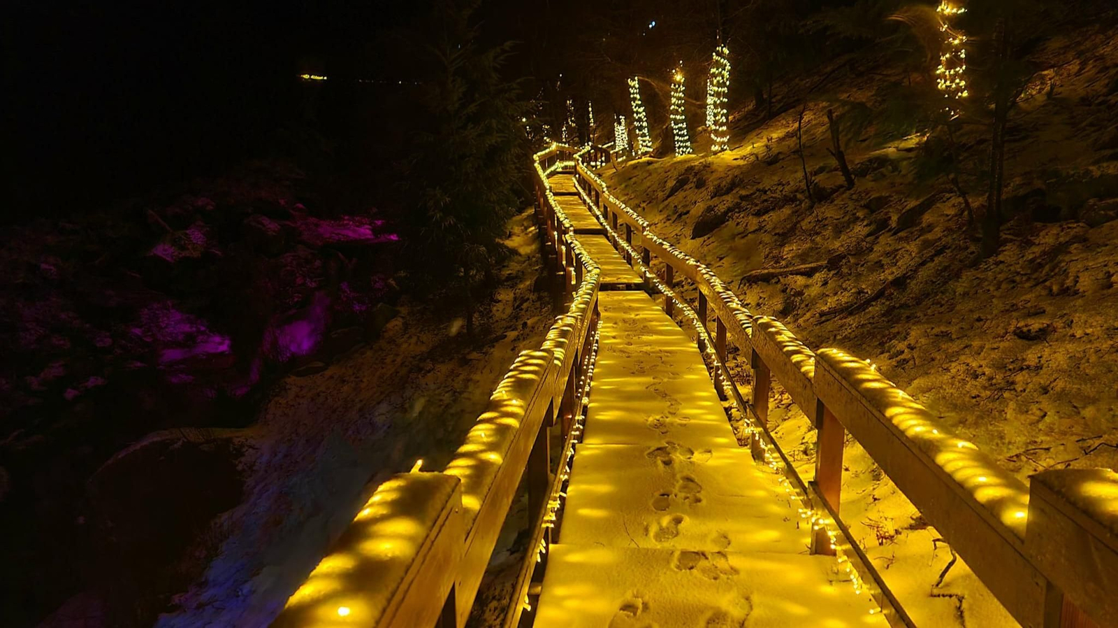 Imagen de archivo del año pasado de 'Floresta encantada'. // Facebook