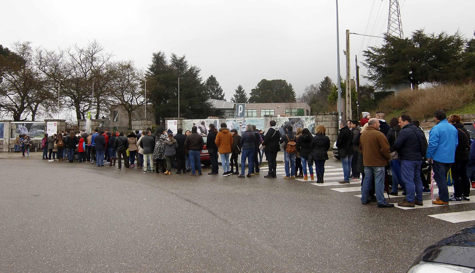 Colas a la entrada del parque zoológico de A Madroa, ayer. La entrada era gratuita.