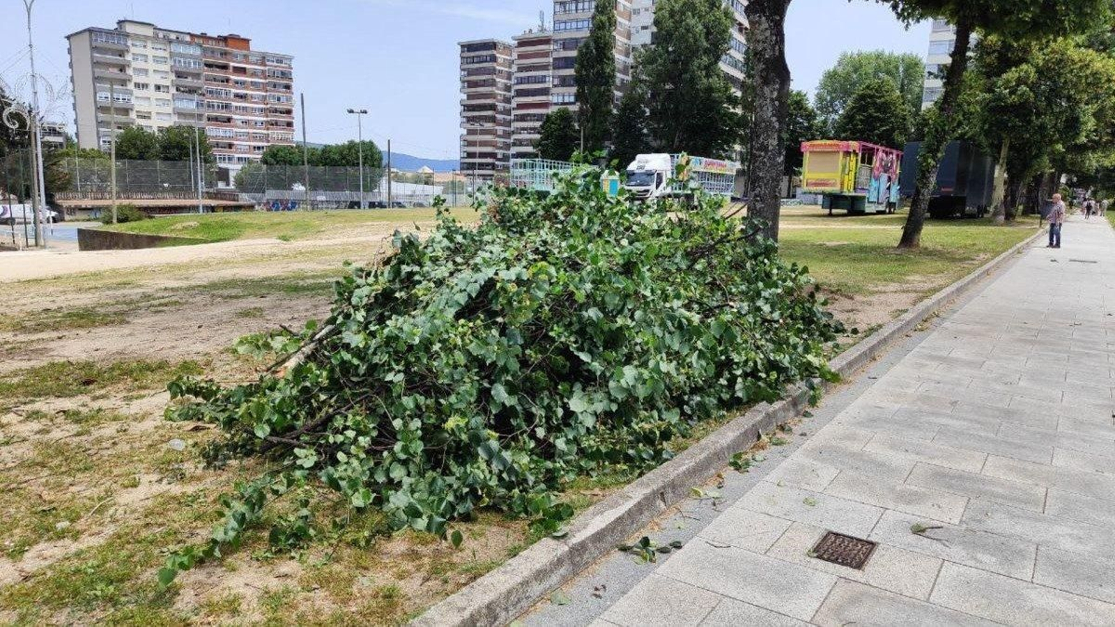 Ramas de árboles recién podadas ayer en la explanada de Coia.