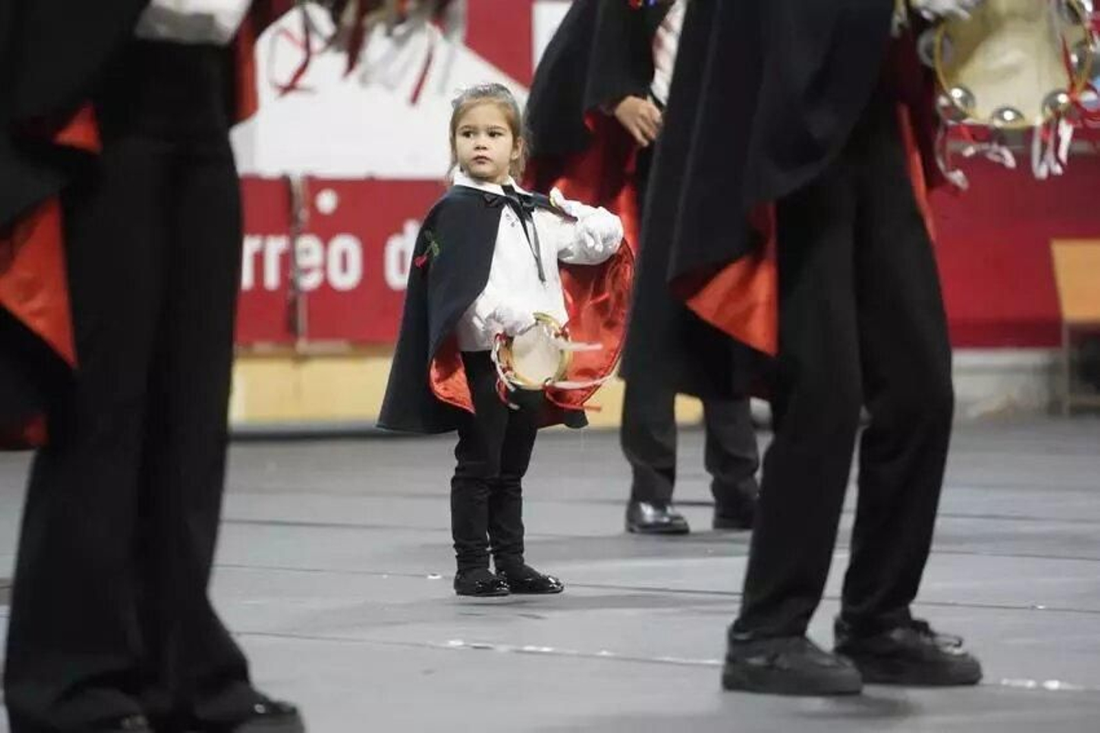 Galería | Sexta edición del Certamen de Rondallas de Vigo