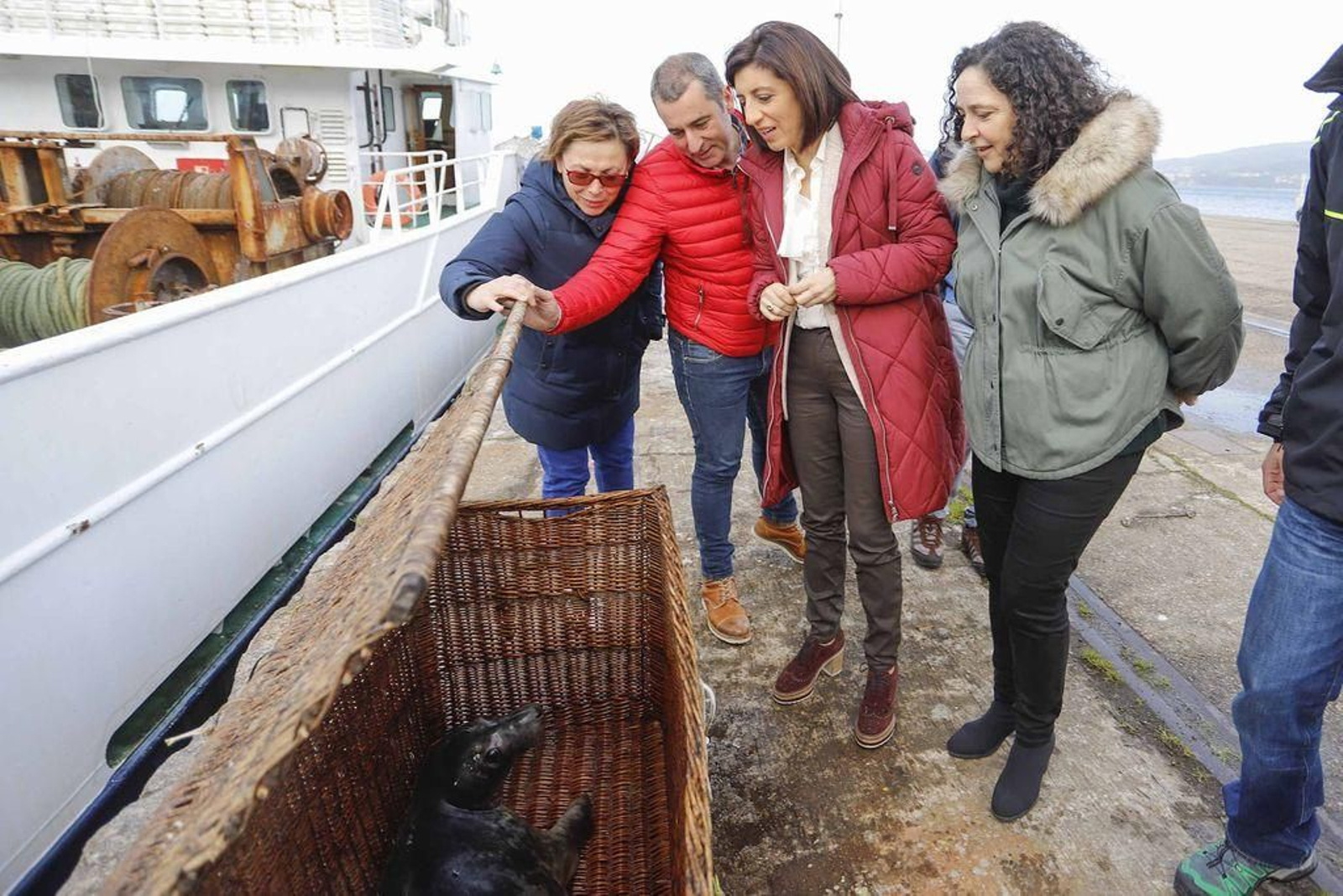 La conselleira Ángeles Vázquez despidió ayer al lobo marino.