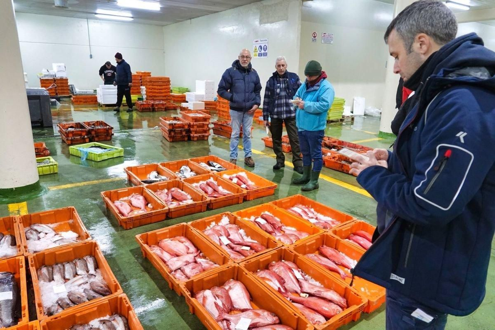 Pescado descargado en la lonja de O Berbés.