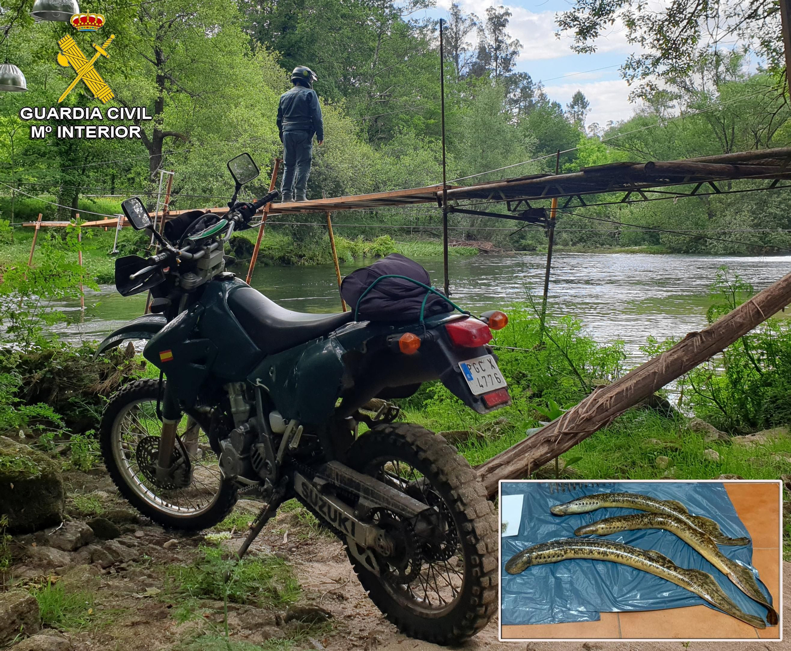 La Guardia Civil sorprende a nueve furtivos de lamprea en la comarca del Condado-Paradanta