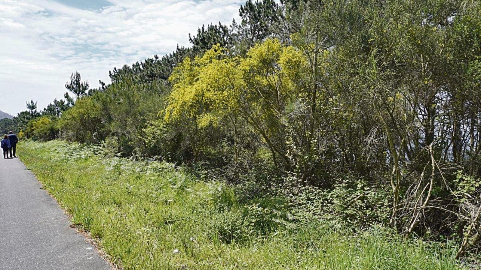 El lugar donde apareció el cuerpo hace 22 años.