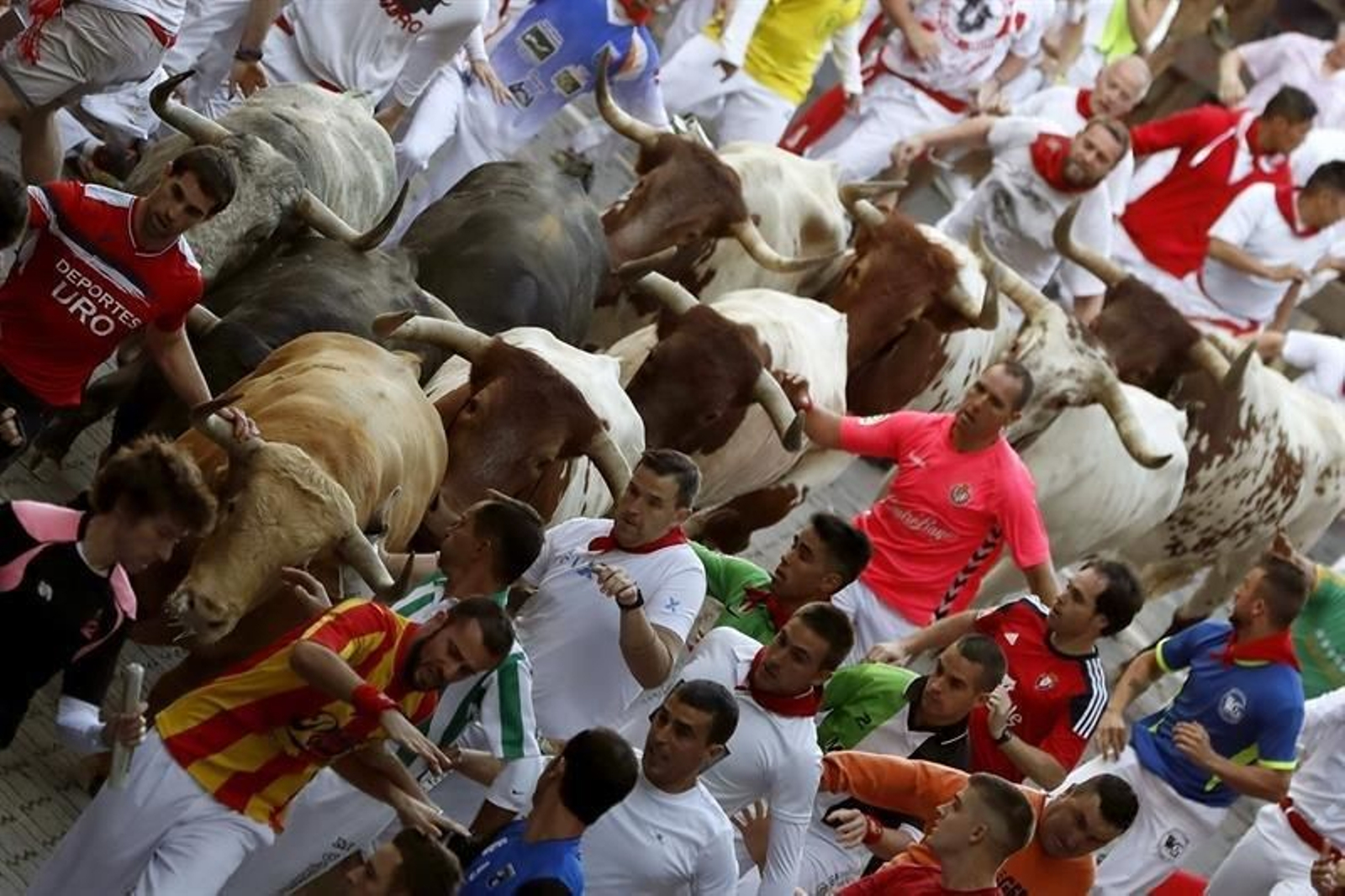 Los mozos corren ante los astados de Cebada Gago en el callejón de entrada a la Plaza de Toros