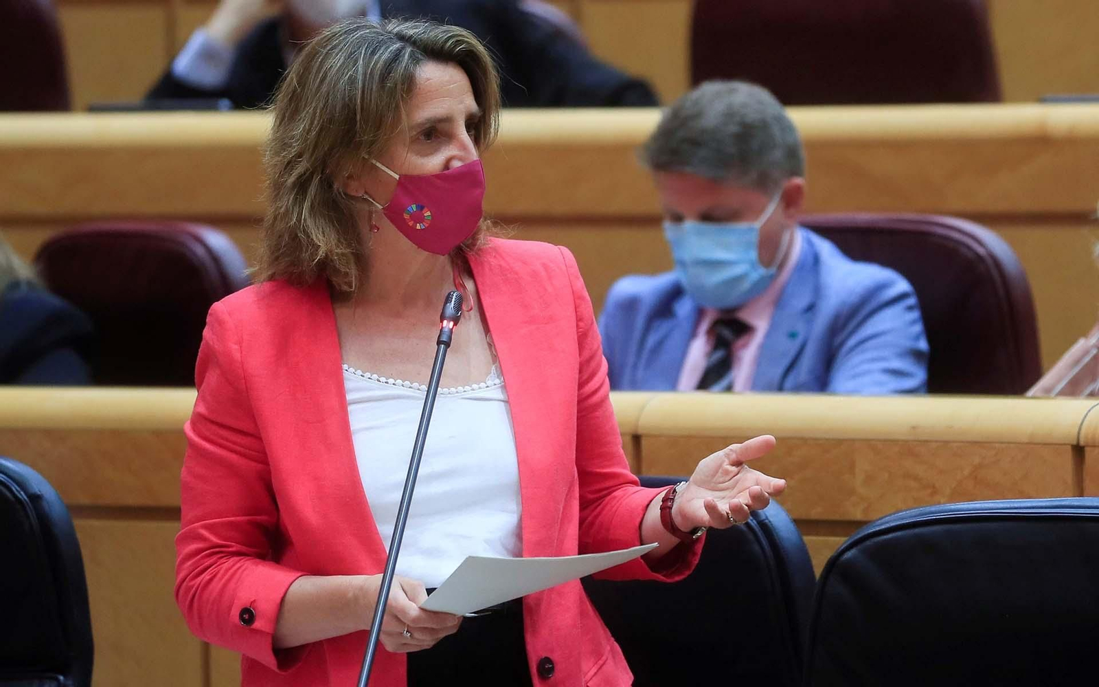 La ministra para la Transición Ecológica y el Reto Demográfico, Teresa Ribera Rodríguez. EFE/ Fernando Alvarado
