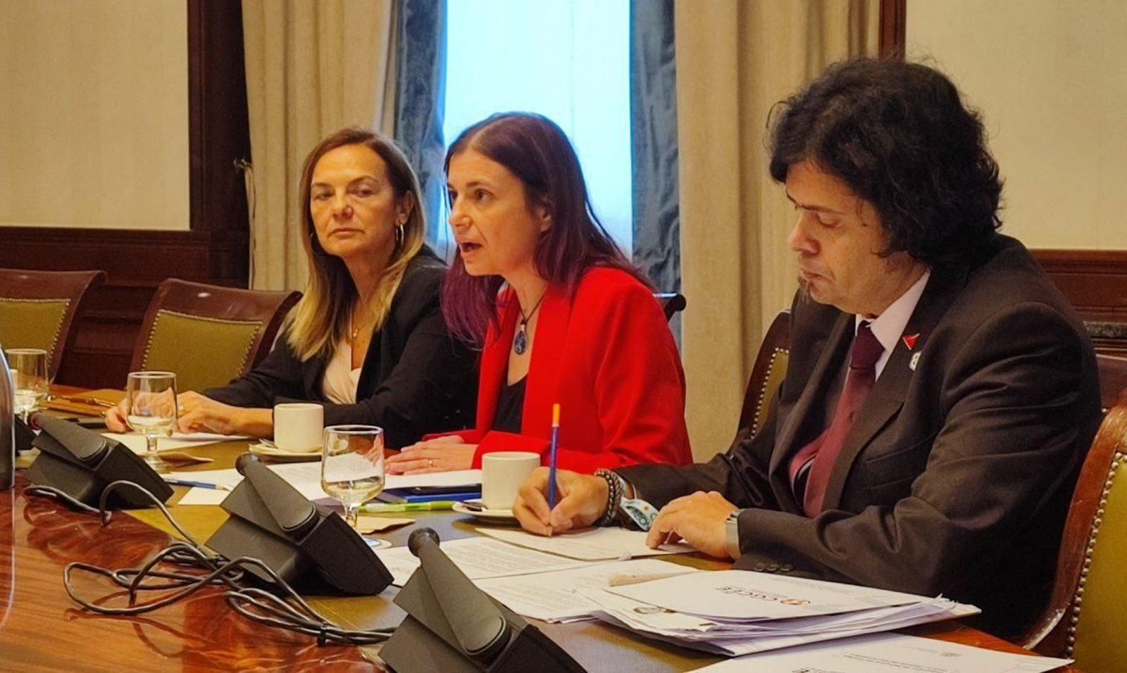 Por la izquierda, la directora general de Ciudadanía Exterior, Elena Bernardo; la presidenta del CGCEE, Violeta Alonsa y el autor de este artículo y presidente de la Comisión de Derechos Civiles , David Casarejos.
