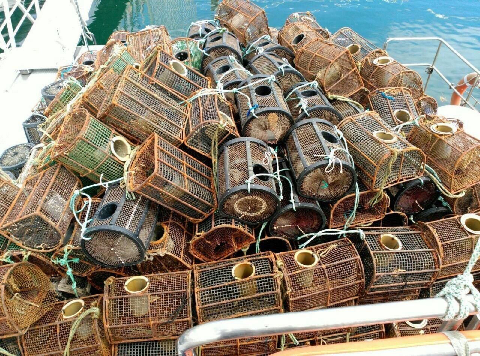 El marisco incautado