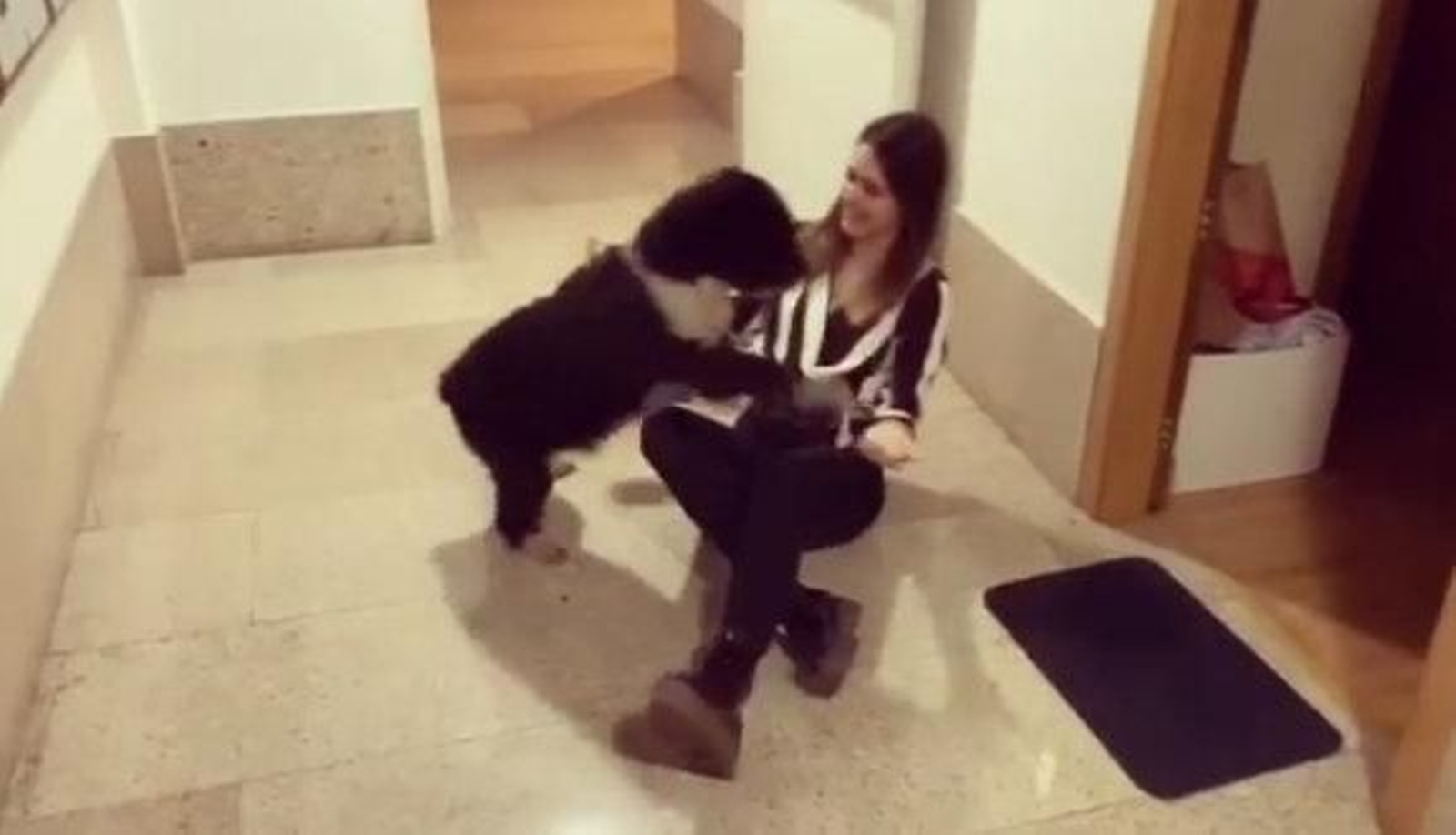 Reencuentro entre Sabela y su perro.