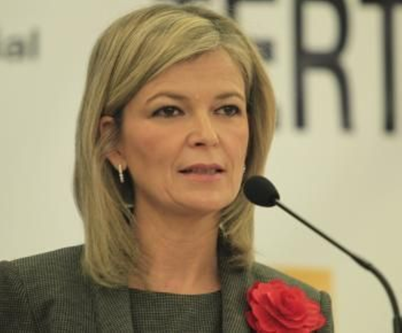 Portavoz Del Consejo General Del Poder Judicial (CGPJ), Gabriela Bravo