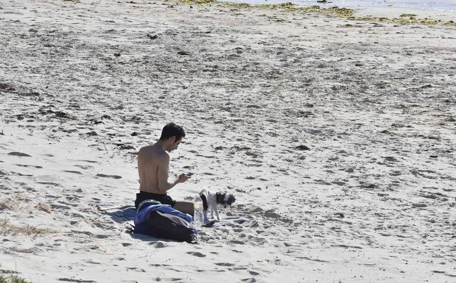 Las playas para perros serán señalizadas en breve.