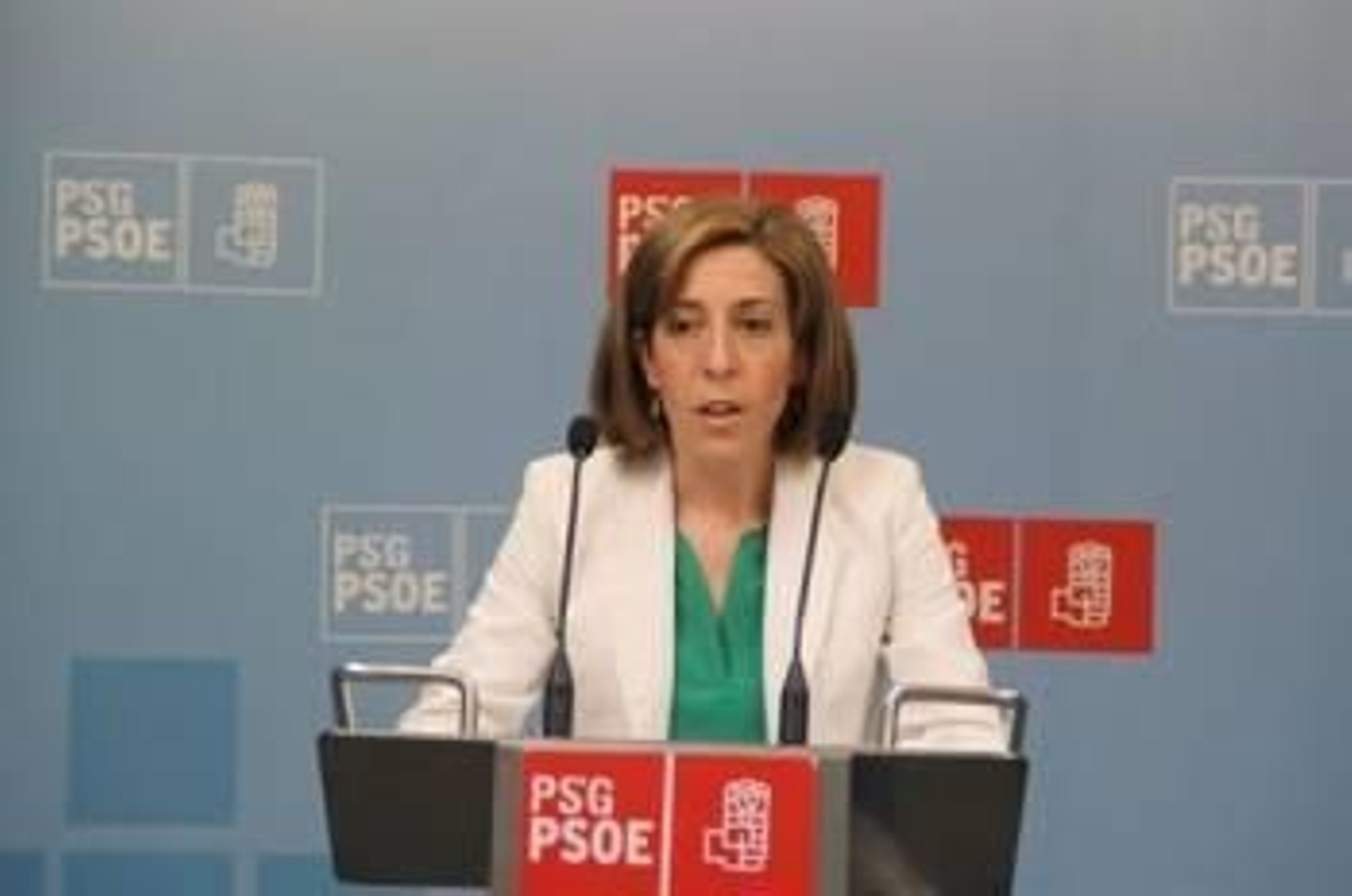 Ana Doval, responsable del área de Medio Rural del PSdeG. (Foto: ARCHIVO)