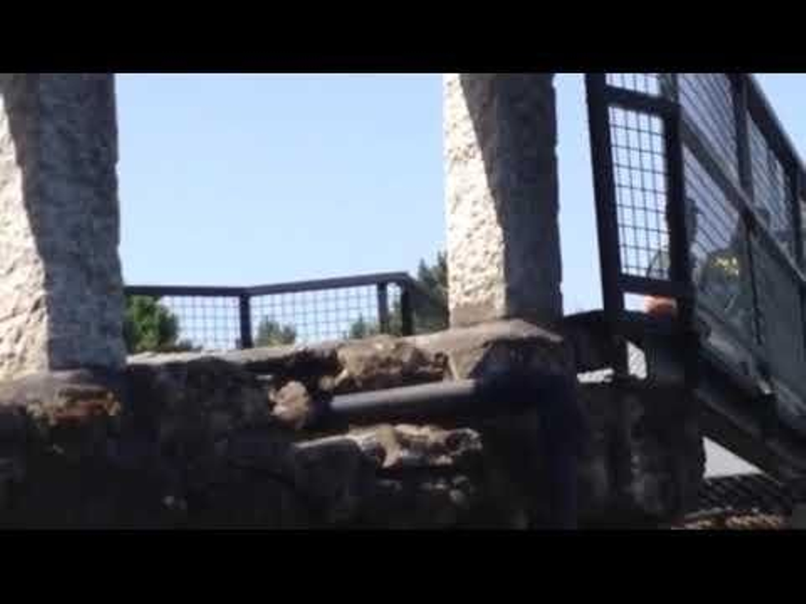 Los servicios de emergencias recuperan el cadáver del luso desaparecido en As Conchas