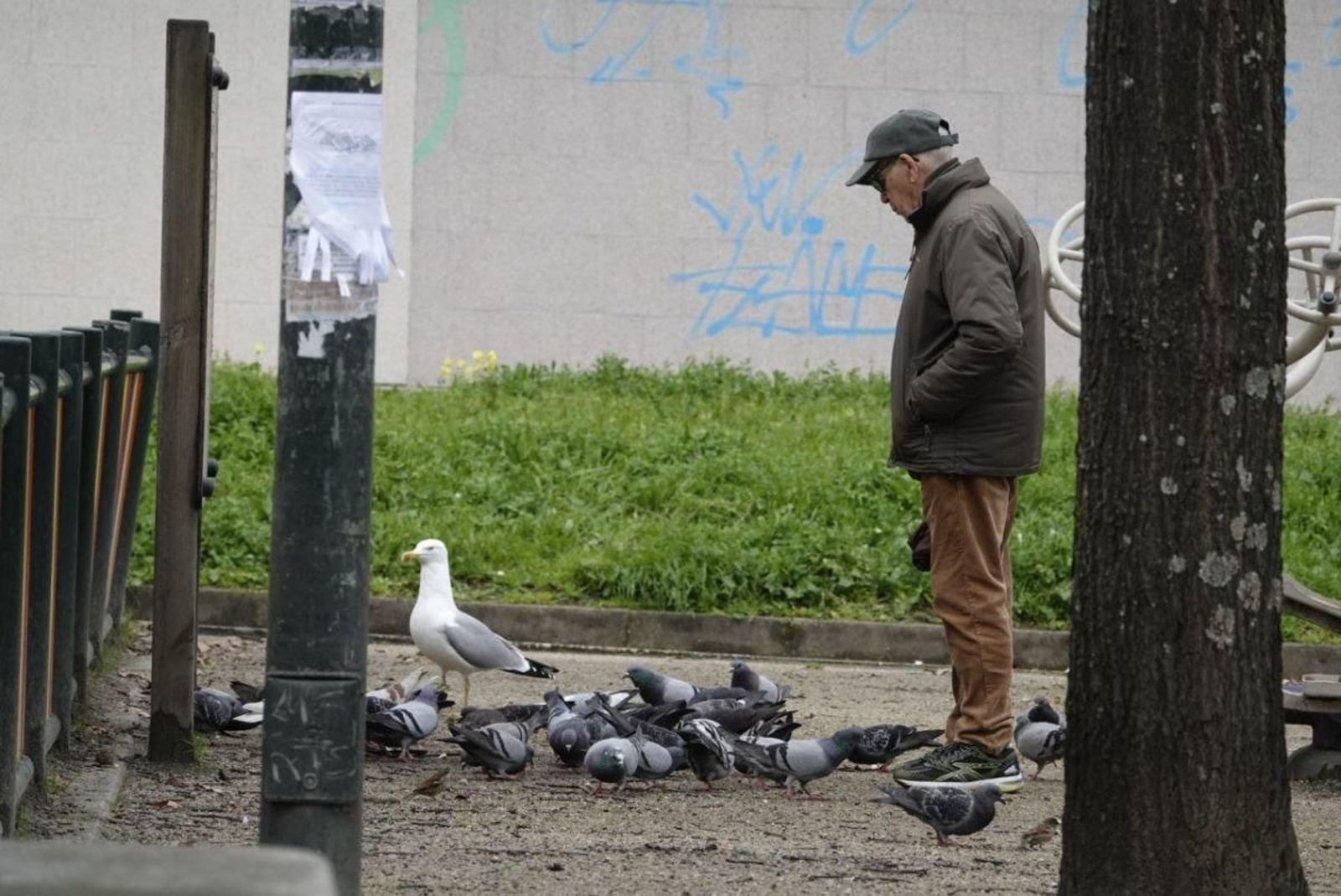 Los mayores en Vigo suman miles de personas por el avance de esperanza de vida.