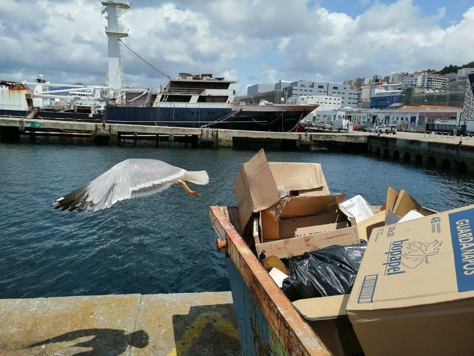 Imagen de los muelles de Beiramar, donde se produjo el accidente laboral.
