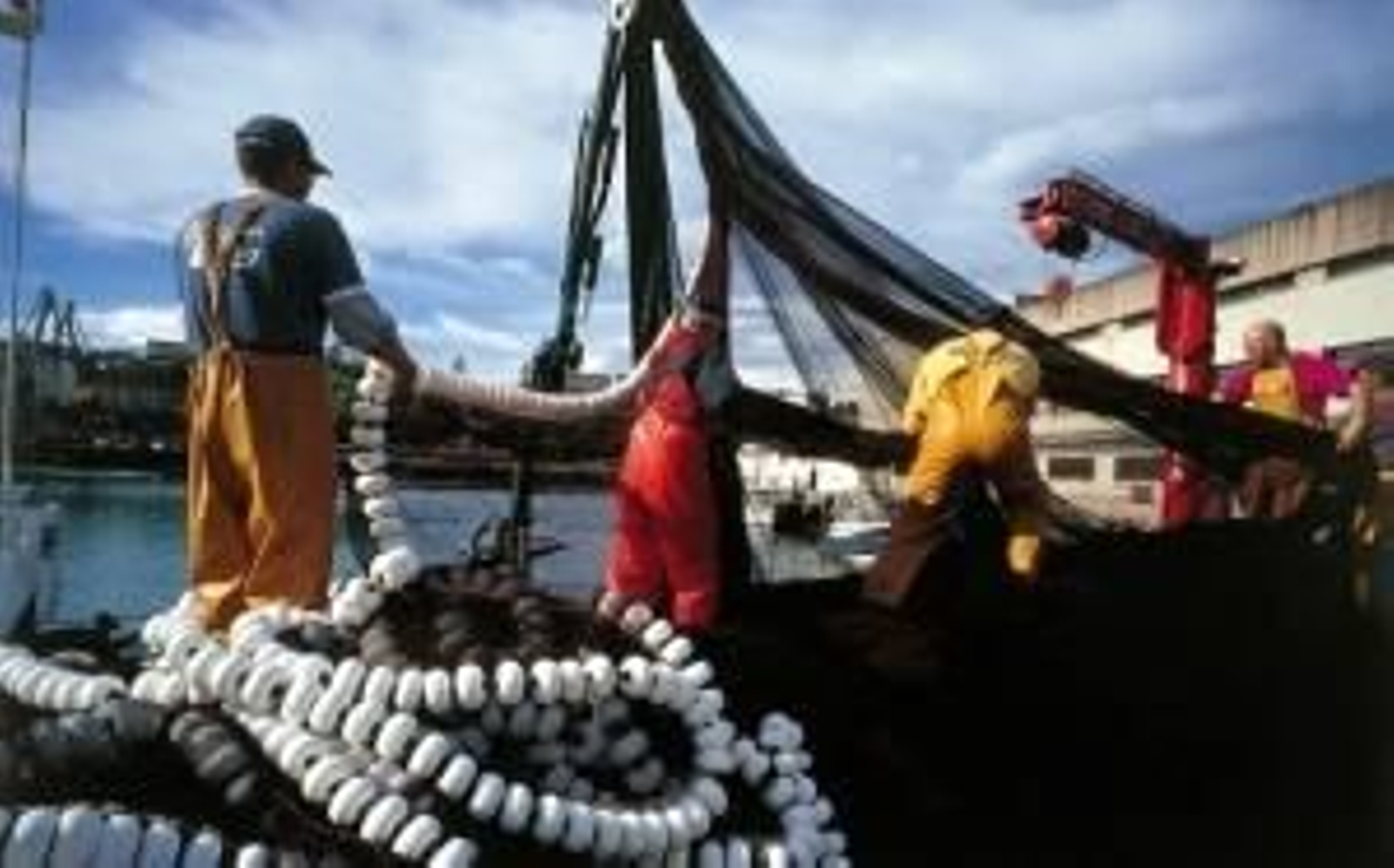 En la imagen, varios pescadores.