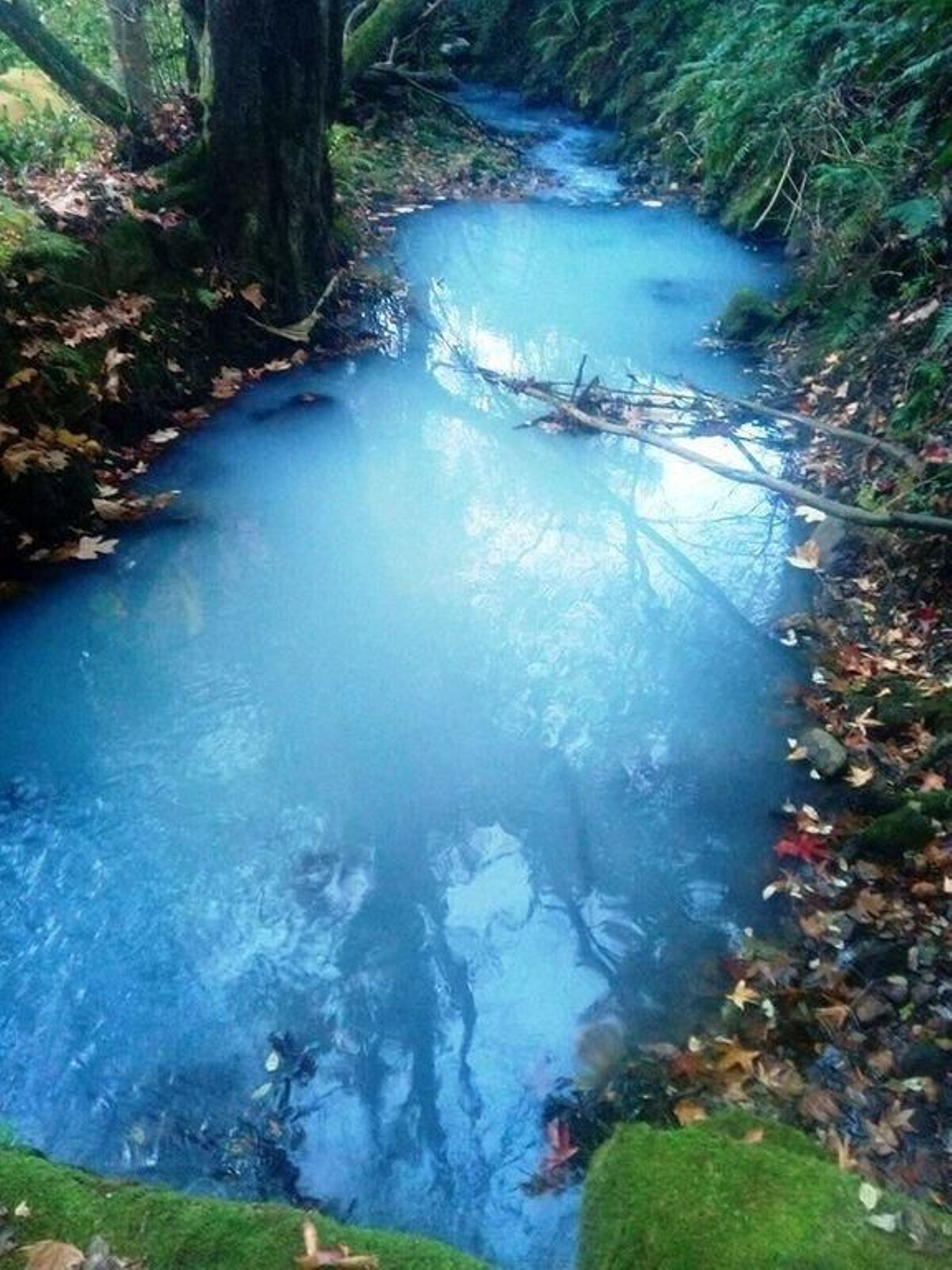 El vertido coloreó de blanco las aguas del río Zamáns  a su paso por Vincios (Gondomar).