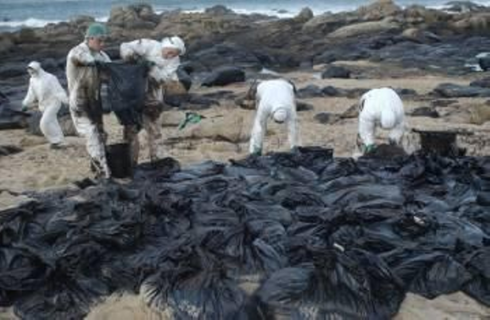 Voluntarios recogiendo chapapote en una playa coruñesa. (Foto: ARCHIVO)