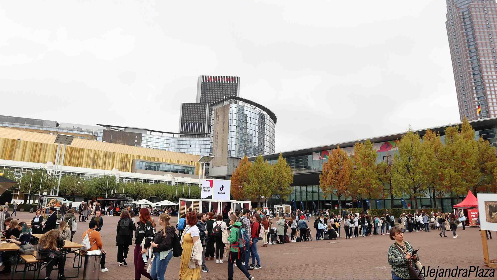 Escola de letras web