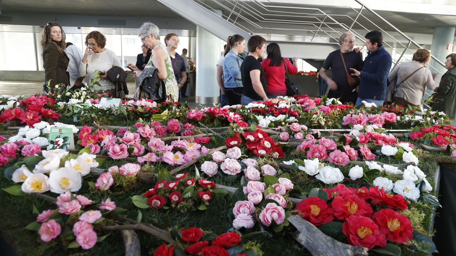 El colorido y la diversidad de especies domina la exposición en el hall del Auditorio.