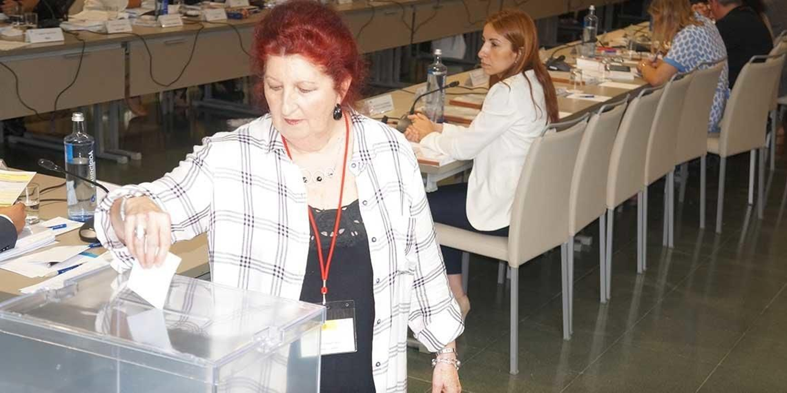 María Jesús Vázquez, en una votación del último Pleno del CGCEE.