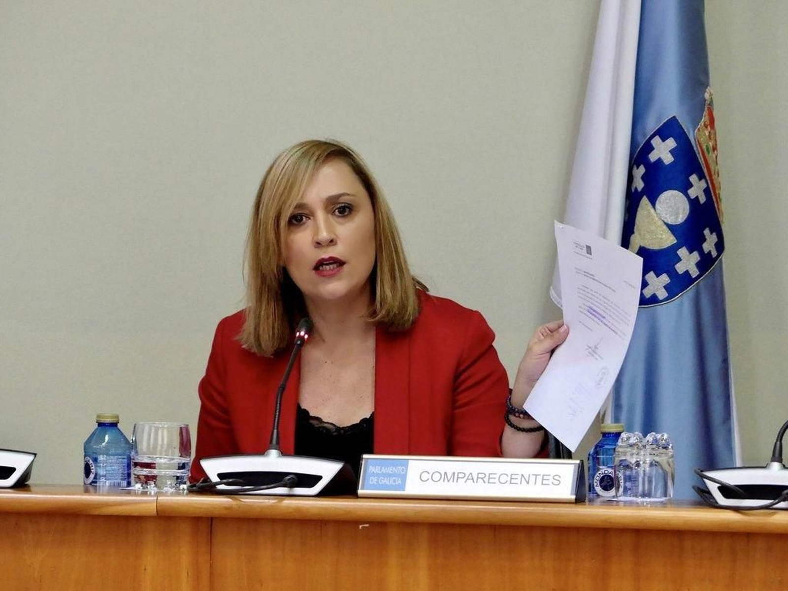 Elena Muñoz, ayer en su comparecencia en la comisión parlamentaria del Marisquiño.