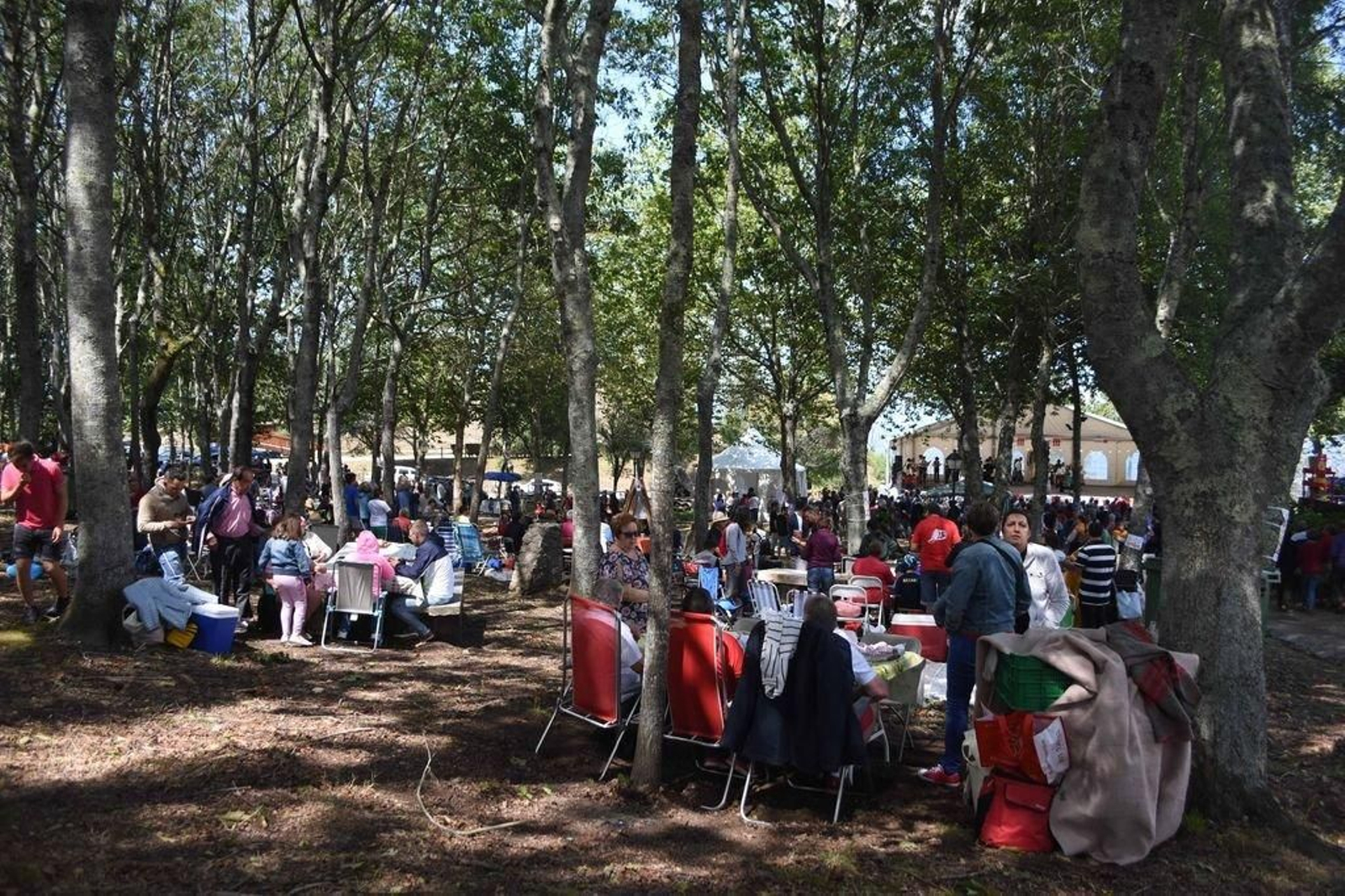 Los comensales llenaron la arboleda a la hora de la comida.