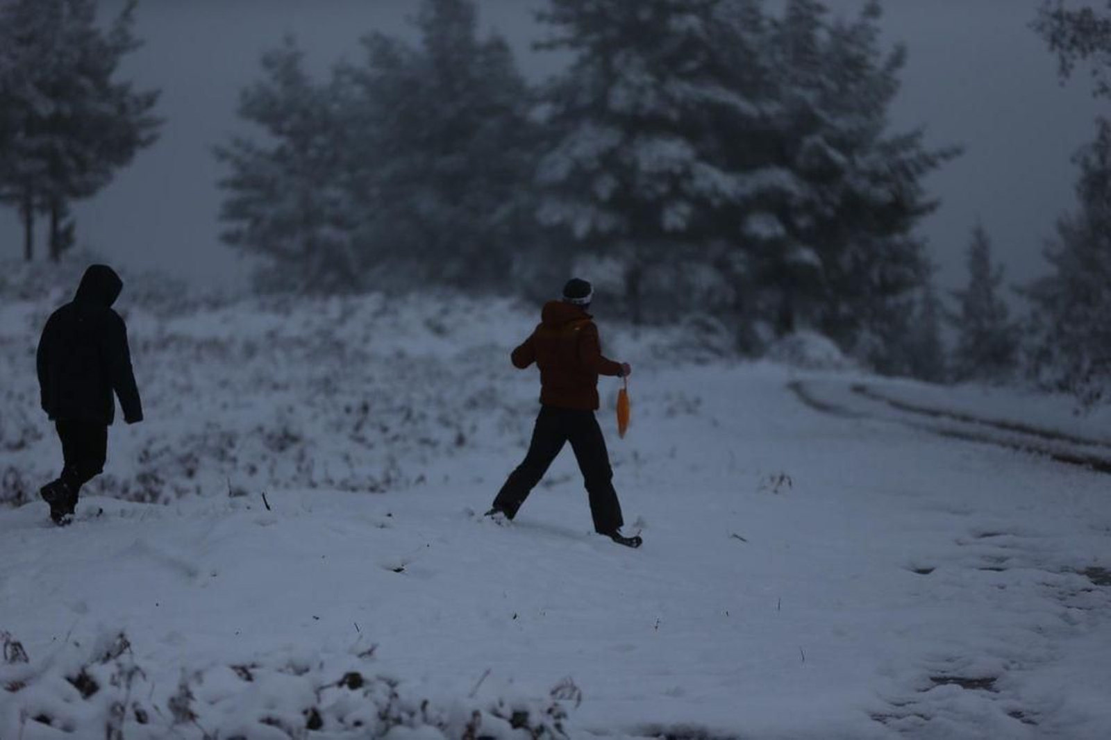 La nieve cubre el Alto de Fontefría // Alberte