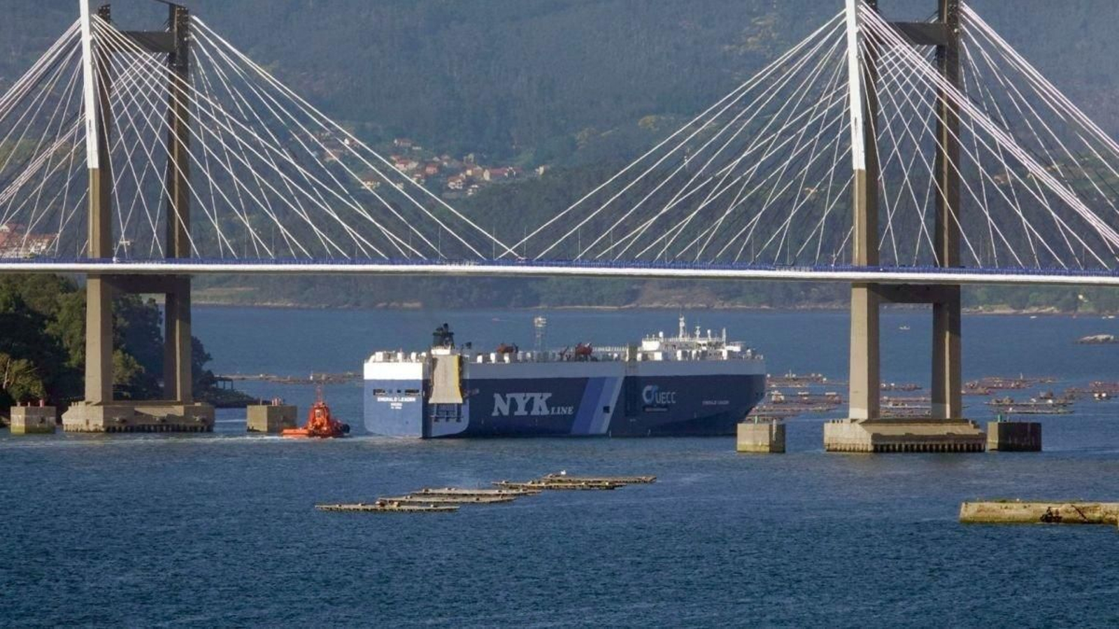 Un portacoches pasando entre los pilares del puente de Rande en 2021, un caso excepcional.