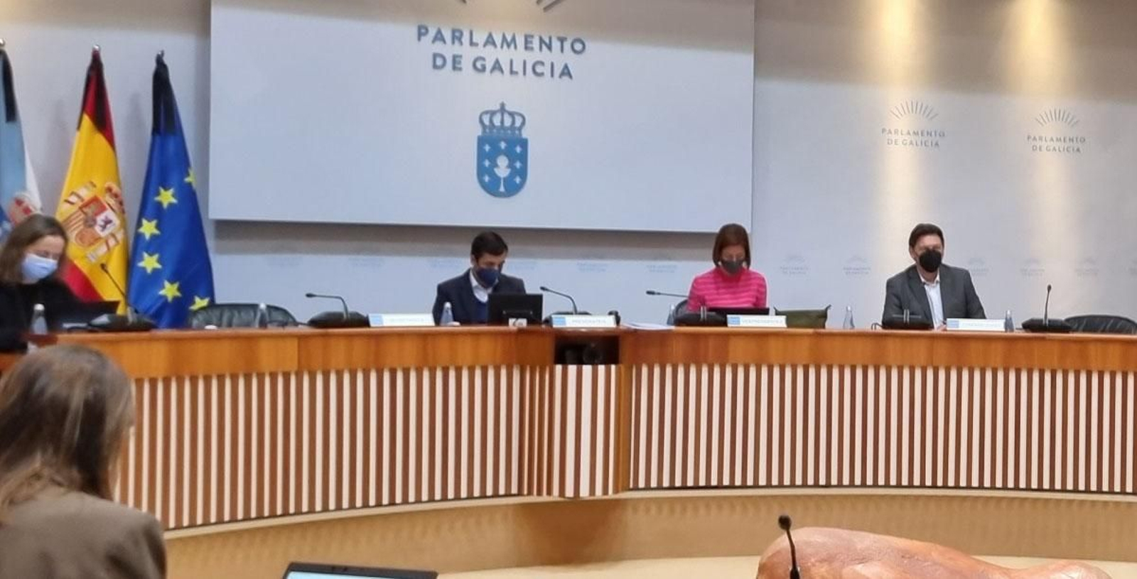 Galicia Miranda Comisión Parlamento web