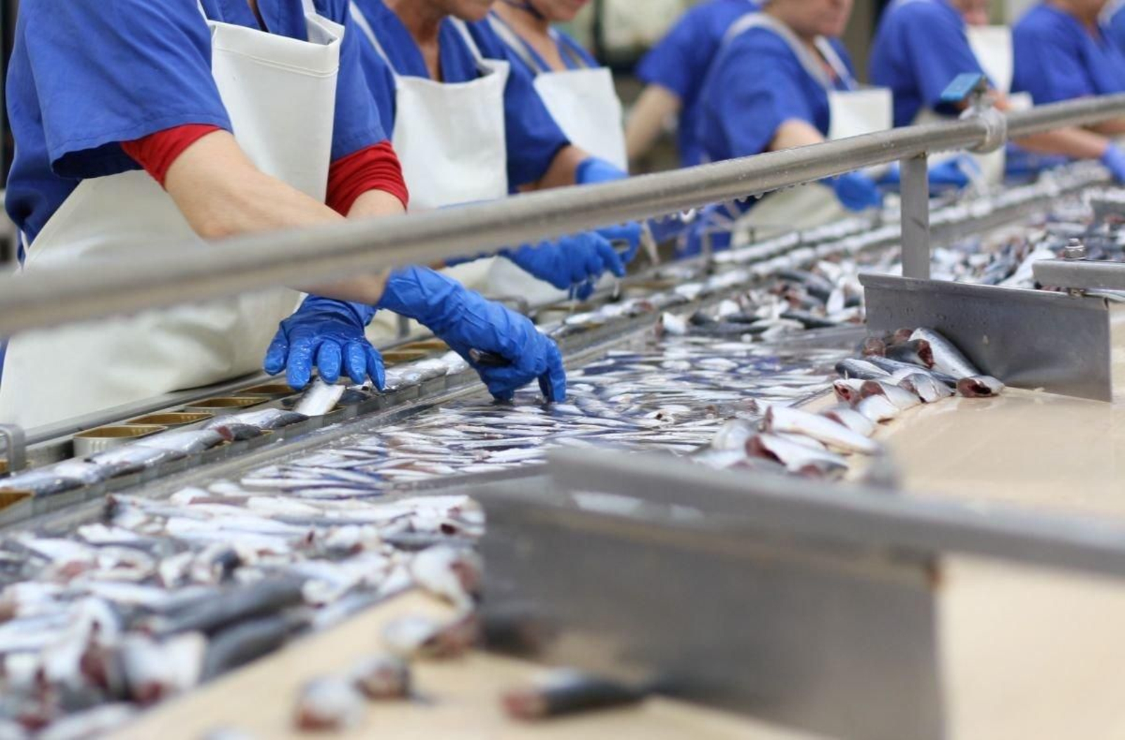 El sector pide que ahora se agilicen las bases de la convocatoria para que las ayudas lleguen lo antes posible.