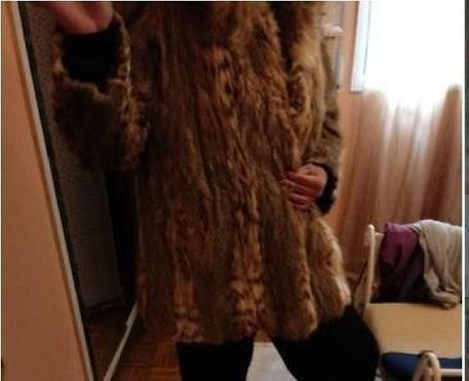 Imagen de los anuncios del abrigo de lince ibérico